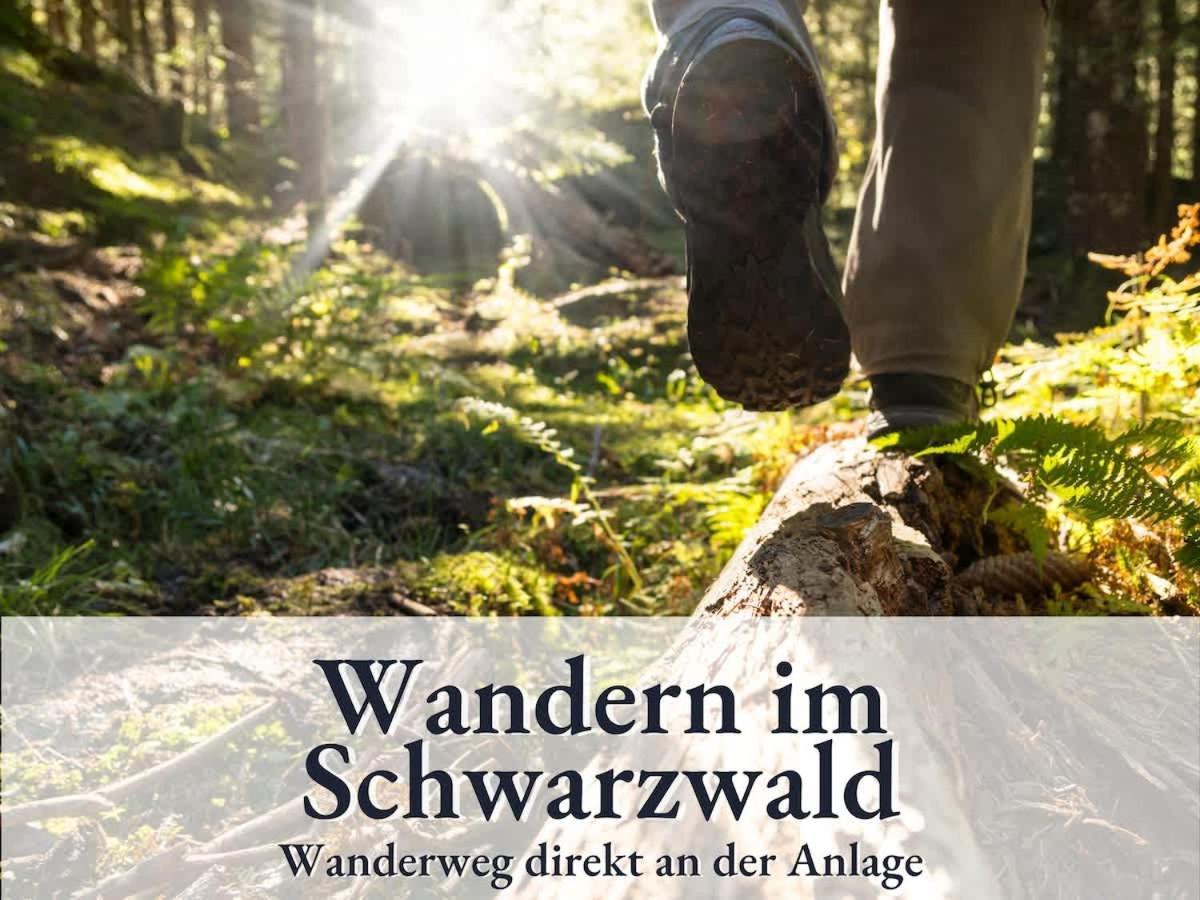 Relax-Apartment 164 Mit Indoor-Pool, Sauna, Kueche Und Netflix Schonach im Schwarzwald Exteriör bild